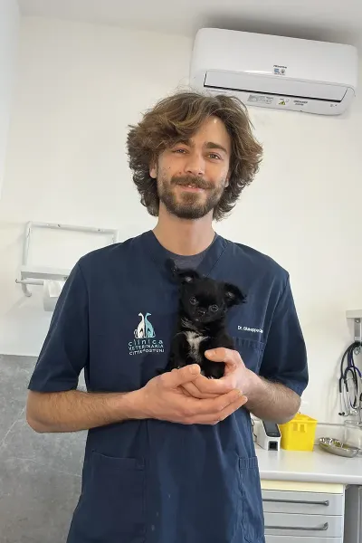 Scopri le storie di guarigione dei nostri piccoli eroi a quattro zampe: una gallery ricca di sorrisi, coccole e successi terapeutici presso la Clinica Veterinaria Citt&agrave; di Ostuni.