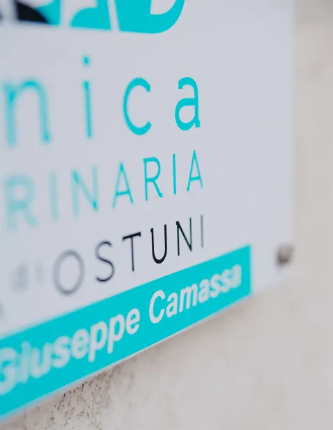 Scopri perch&eacute; affidarti alla nostra clinica: esperienza, attrezzature all'avanguardia e passione per la salute degli animali a Ostuni.