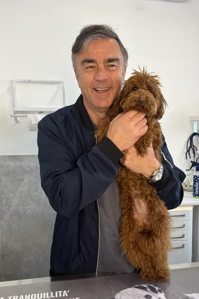 Scopri le storie di guarigione dei nostri piccoli eroi a quattro zampe: una gallery ricca di sorrisi, coccole e successi terapeutici presso la Clinica Veterinaria Citt&agrave; di Ostuni.