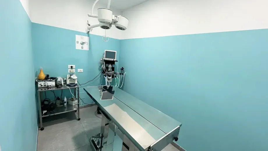 Dalla visita di base alla chirurgia ortopedica: ecco come ci prendiamo cura del tuo animale domestico con esperienza e tecnologie moderne.