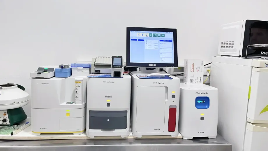 Dalla visita di base alla chirurgia ortopedica: ecco come ci prendiamo cura del tuo animale domestico con esperienza e tecnologie moderne.