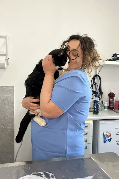 Scopri le storie di guarigione dei nostri piccoli eroi a quattro zampe: una gallery ricca di sorrisi, coccole e successi terapeutici presso la Clinica Veterinaria Citt&agrave; di Ostuni.